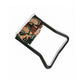 M81 Snow Peak Folding Camping Chair