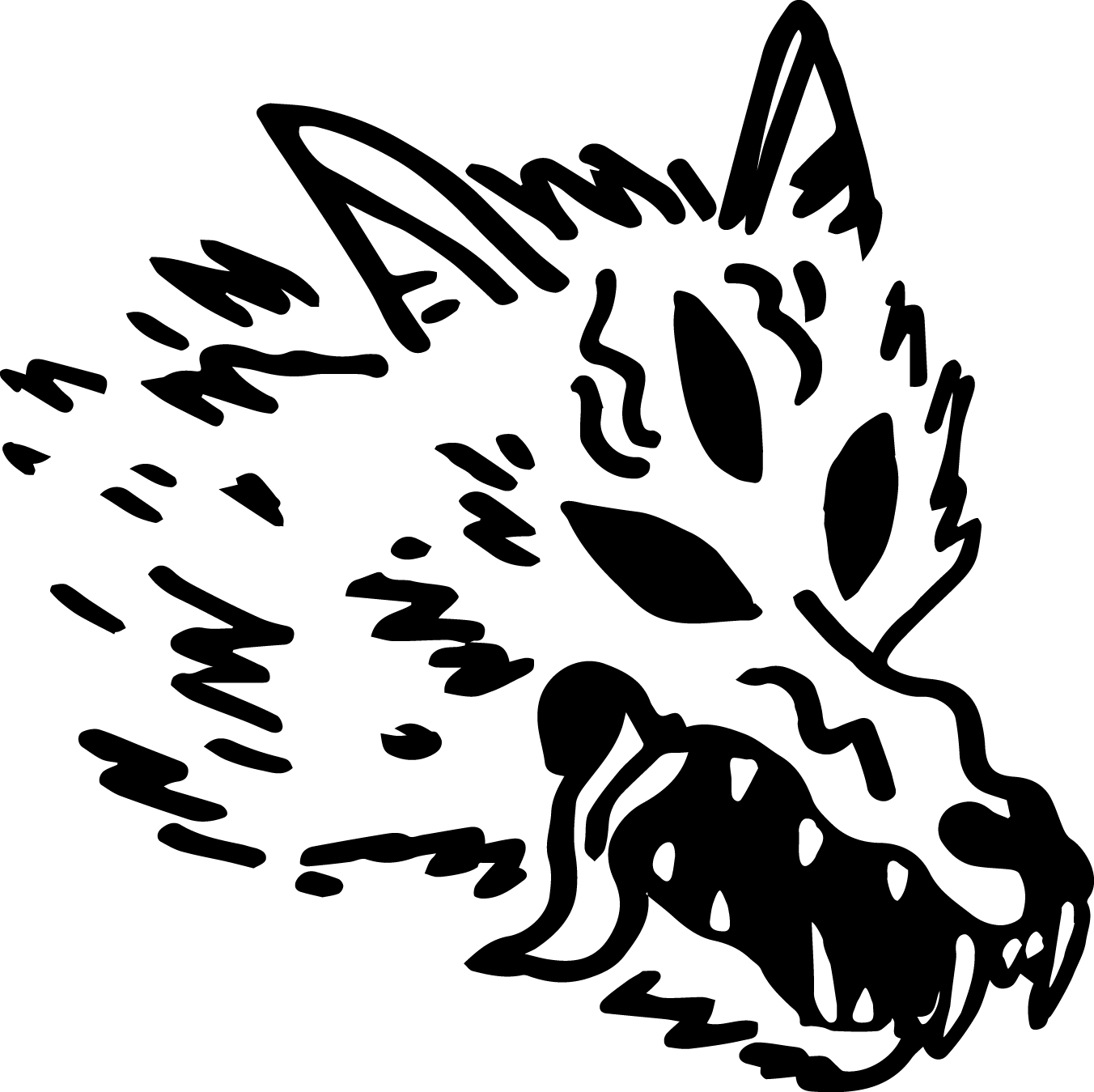 Shadow Equipment